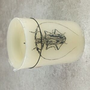 👻🍒 Halloween Insect Candle